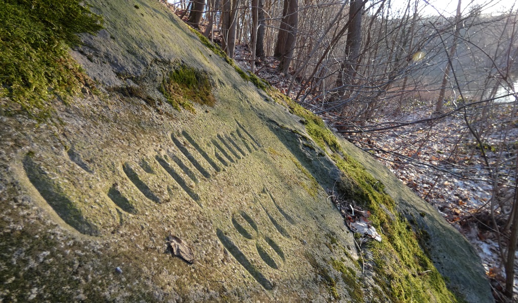 "Gepflanzt 1877", Inschrift am Zgorzelecer Neißeufer. Foto: Michael Winter
